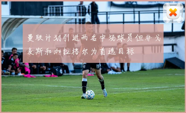 曼联计划引进两名中场球员但非戈麦斯和加拉格尔为首选目标